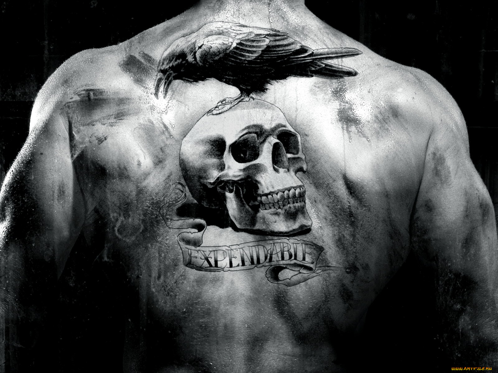 , , the, expendables